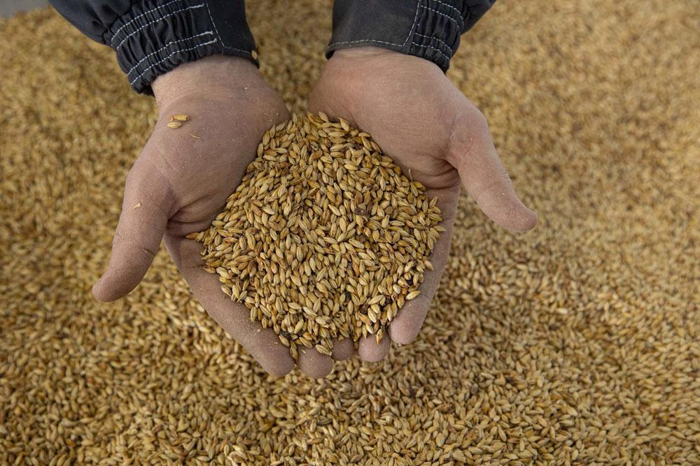 2000L Brewery System by Tiantai Brewtech